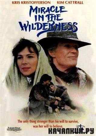���� � ����������� ����� / Miracle in the wilderness (1992 / DVDRip)