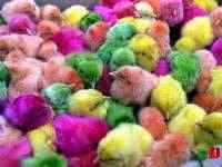 Selected Wallpapers - ��������� ����� ��� �������� ����� - Super Pack454