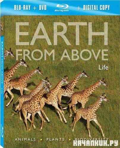 �����,��������� � ����: ����� / Earth From Above: Life (2004) HDRip