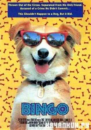 ��� ��� ����� / Bingo (1991 / DVDRip)