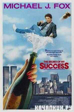    / The Secret of My Success (1987 / DVDRip)
