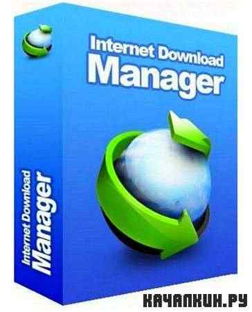 Internet Download Manager v6.07 Build 15 Final (RUS/ML)