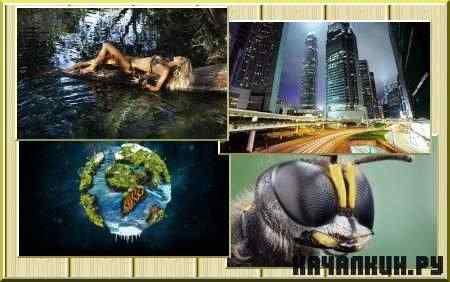 Compilation Wallpapers for PC -      - Pack 204