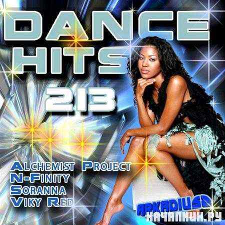 Dance Hits Vol 213 (2011)