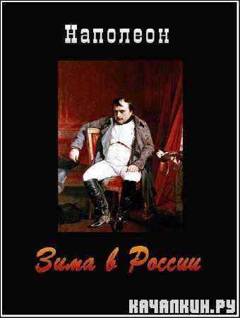 .   /Napoleon. Winter in Russia  (2001) SATRip