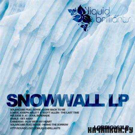 VA - Snowwall (2011)