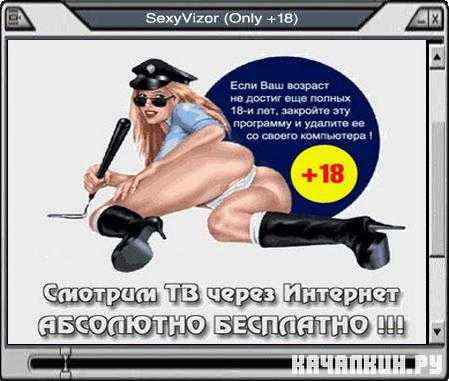 SexyVizor 5.27.01 RUS Portable