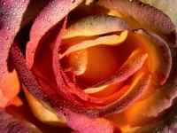3000 selected wallpapers - ��������� ����� ��� ��