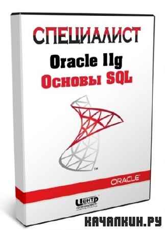  Oracle 11g  SQL (2011)