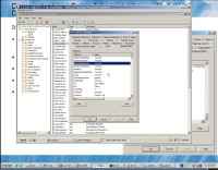       Windows Server 2008 Active Directory (2011)