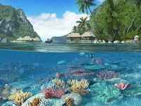 3Planesoft 3D Screensavers Plus  x 86 / x 64 2011/ENG/RUS/Repack