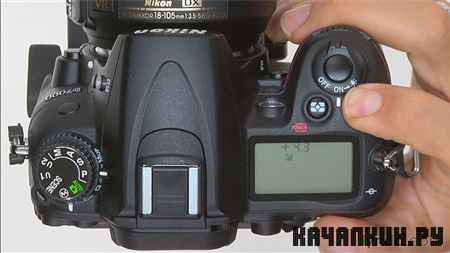   Nikon D7000 / Shooting with the Nikon D7000