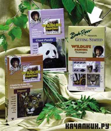 Bob Ross - WildLife Painting Techique -   