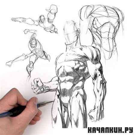 The Gnomon Workshop-Dynamic Figure Drawing: The Body With David Finch