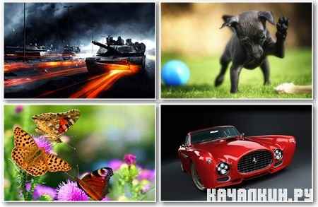 Amazing Wallpapers for PC -     - Mega Pack 457