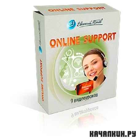  Online support (2011)