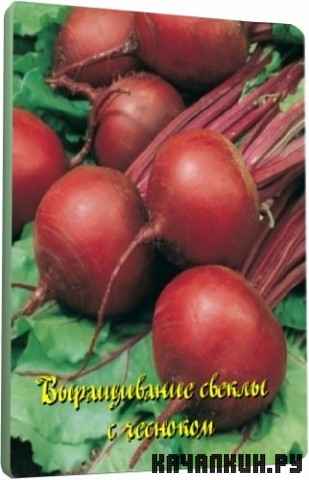����������� ������ � �������� (2011) DVDRip