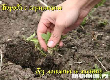 ������ � ��������� ��� ������ � ����� (2011) DVDRip