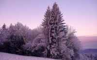 Amazing nature - ��������� ����� �� ������� ����. Super Pack 10