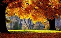 Amazing nature - ��������� ����� �� ������� ����. Super Pack 10