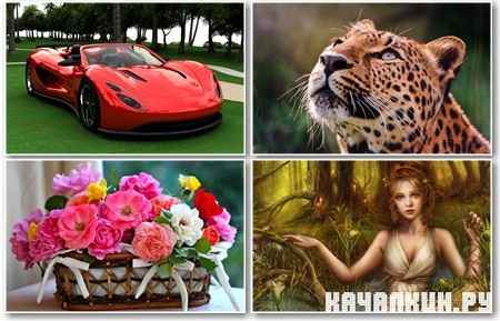 Gorgeous Wallpapers - ���� ��� �������� ����� - Super Pack 476