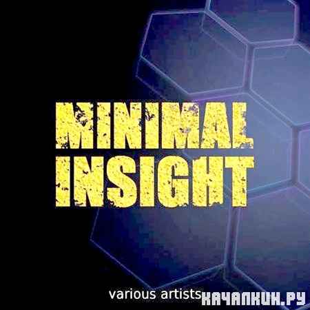 Minimal Insight (2012)