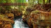 Gorgeous nature - ���� ��� ��. Pack 14