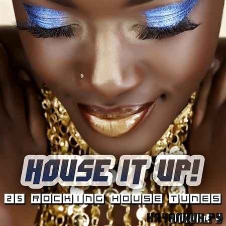 House It Up Vol. 2 (2011)