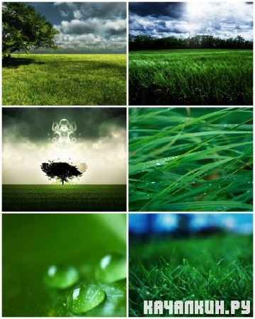 Different HD WallPapers 161