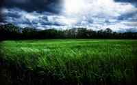 Different HD WallPapers 161