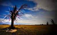 Different HD WallPapers 161