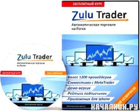 Zulu Trade     Forex (2011) DVDRip