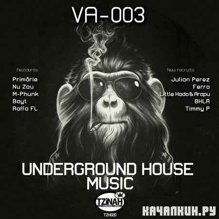 VA - Underground House Music 003 (2012)