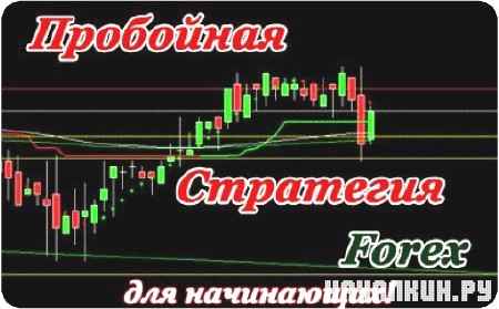 ��������� ��������� Forex ��� ���������� (2011) DVDRip