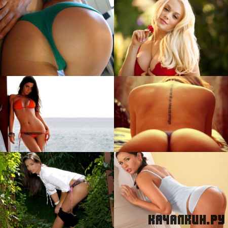 ���� �� ������� ���� - ������� ( ����� 51 )