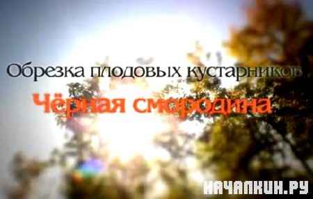 ������� �������� �����������. ������ ��������� (2011) DVDRip