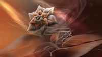 Favorites Wallpapers for desktop - ������� ����� ��� �� - Mega Pack 501