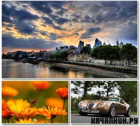 Favorites Wallpapers for desktop - ������� ����� ��� �� - Mega Pack 501