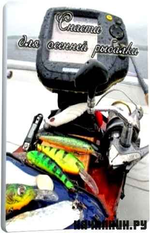 ������ ��� ������� ������� (2011) SATRip