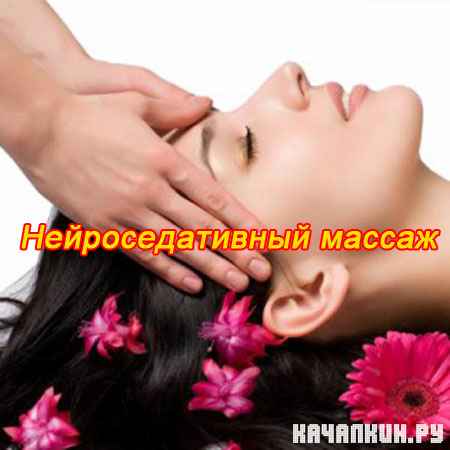 ��������������� ������ (2011) SATRip