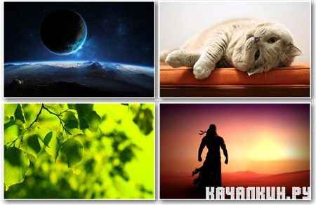 Various Wallpapers for PC - ��������� ����� ��� �� - Mega Pack 503