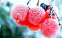 Mix Wallpapers for desktop - ���� ��� �������� ����� - Pack 504