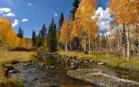 Gorgeous nature - ������� ����� ��� �������� �����. Mix 24