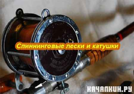 ������������ ����� � ������� (2011) SATRip