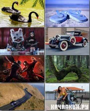 Gorgeous Wallpapers for PC - ���� ��� �������� ����� - Release 225