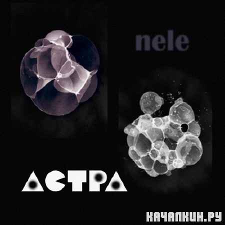 nele - ����� (2012)