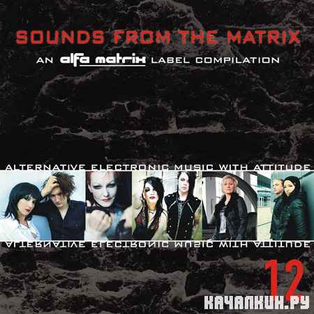 VA - Sounds From The Matrix 12 (2012)