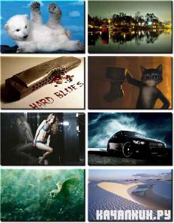 Wonderful Wallpapers for PC -      - Pack 618