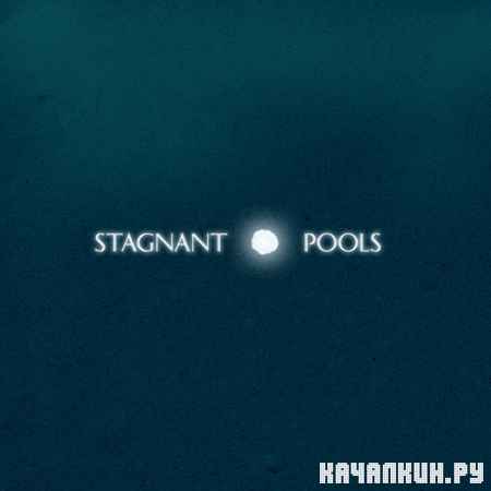 Stagnant Pools - Temporary Room (2012)