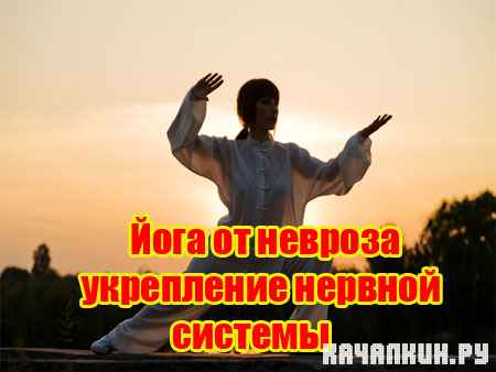 ���� �� ������� ���������� ������� ������� (2011) SATRip